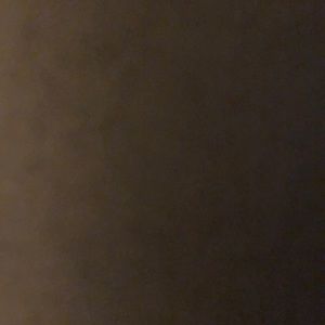 Meet your Posher, Silvja